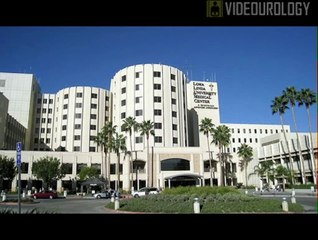 Mary Ann Liebert, Inc. - Journal of Endourology Part B, Videourology111 - 28(2)__5