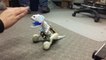 Robot bébé dinosaure