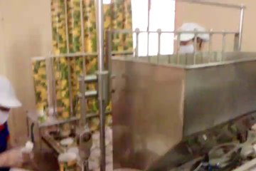 May cap ly va dan mieng ly chao, ly mỳ tự động