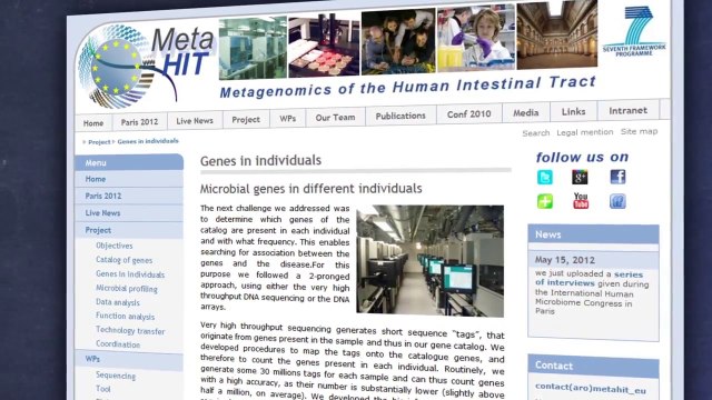 Every Human Being Carries A Unique Collection of Bacteria That Stems From Everything We've Interacted With In Our Life