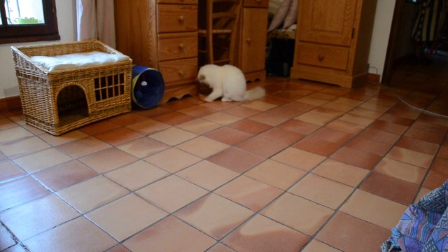 Iouzou joue avec nounours ,1