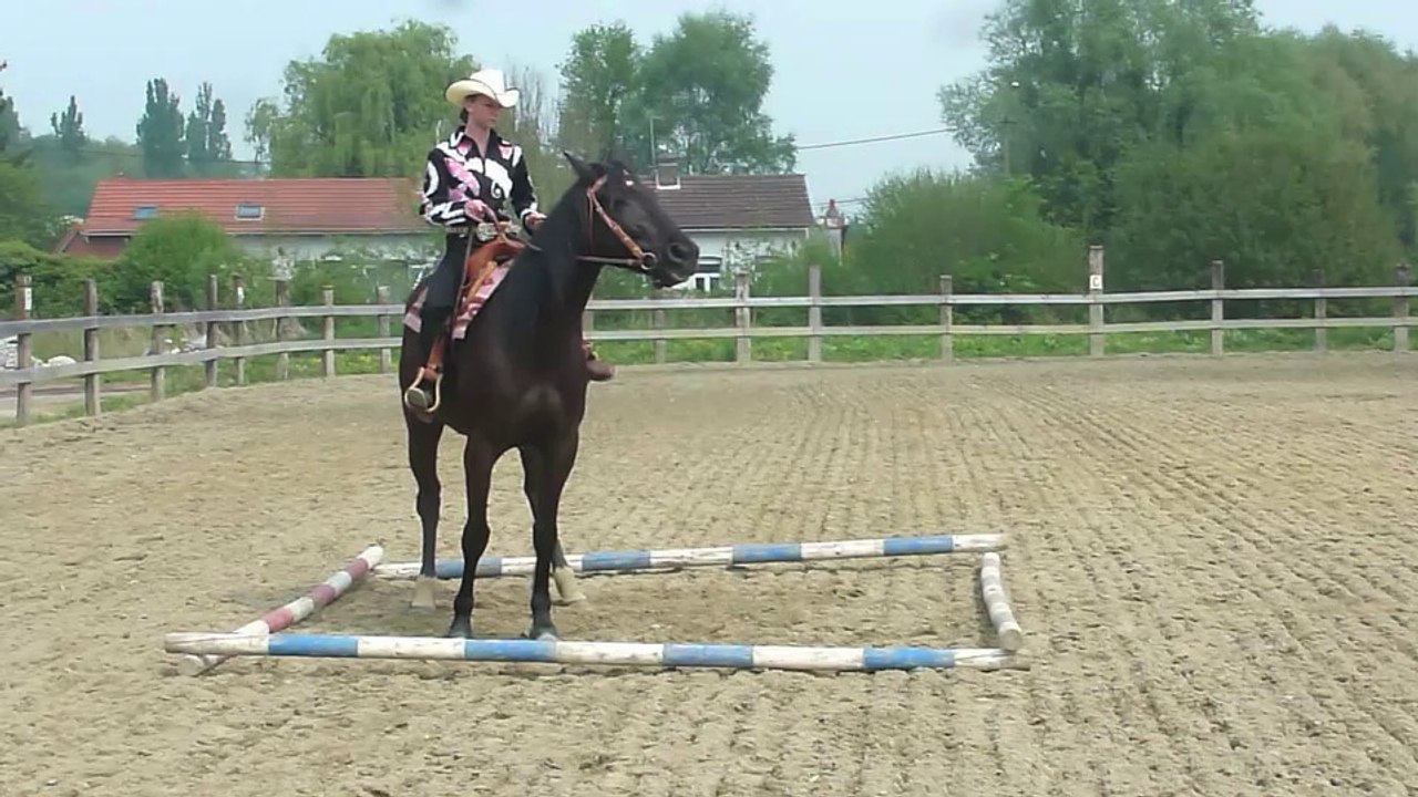 Petite démo d'équitation western à Wandignies