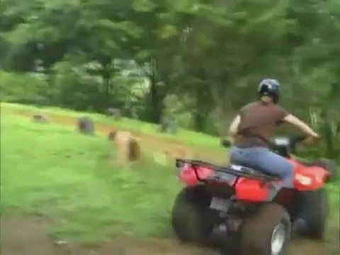 Canopy Tours Costa Rica