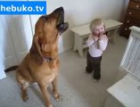 Köpekle bebeğin düeti