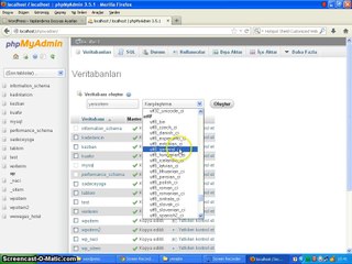 086 - Wordpress - Wampserver sanal sunucu kurulumu 2