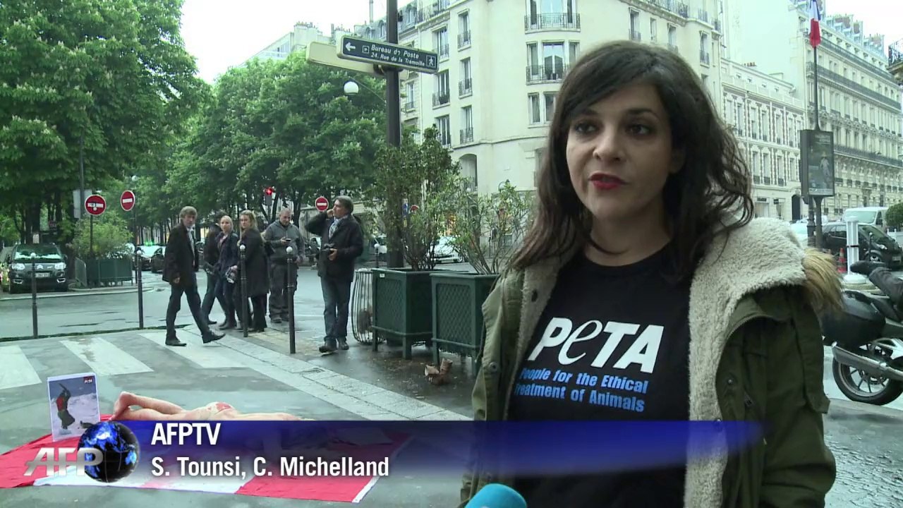 Massacre des bébés-phoques: le drapeau du Canada entaché à Paris