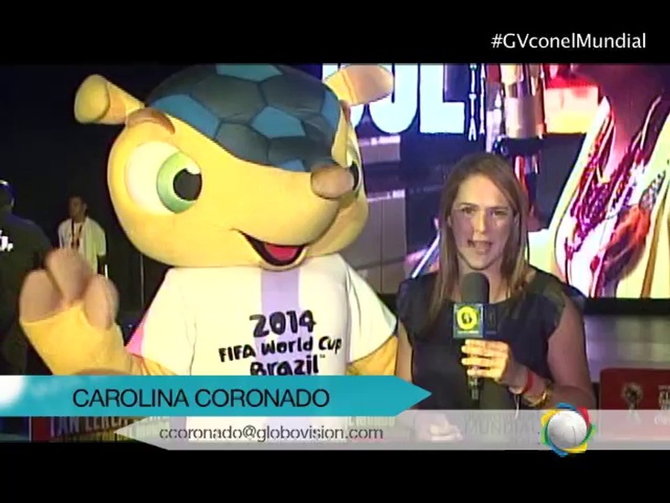 Fuleco, el embajador oficial del Mundial Brasil 2014