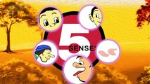 Learning Five Senses | New Nursery Rhymes | Pre School Learning