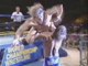 Brian Pillman & Jushin Liger vs Chris Benoit & Beef Wellington (WCW Clash Of The Champions 19 - 06.16.1992)
