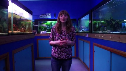 Le Mag-Info du 25 AVRIL 2014