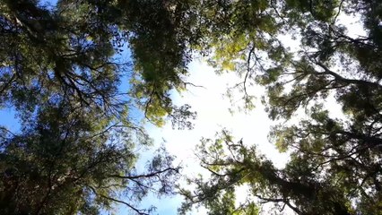 Colores de una mañana de otoño (Autumn morning colours)