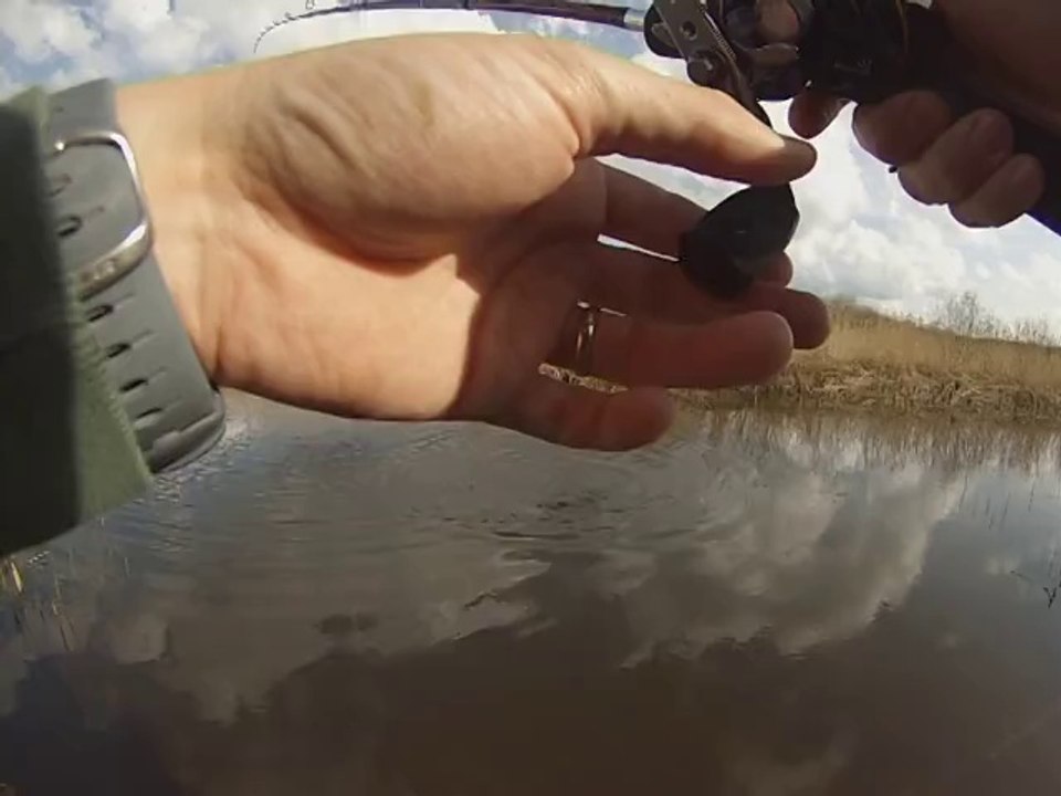 Pêche du broc aux leurres