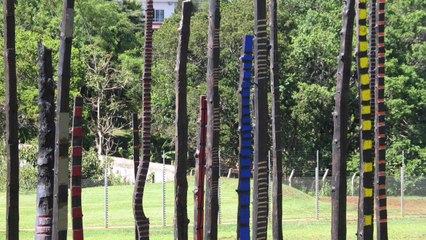 Philippe Pastor - Arbres Brûlés Version Française