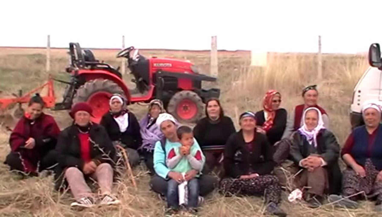 2014 Mersin başören kültür ve dayanışma derneği ağaç dikme etkinliği