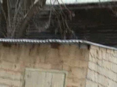 Aid Adha Montreal 2006