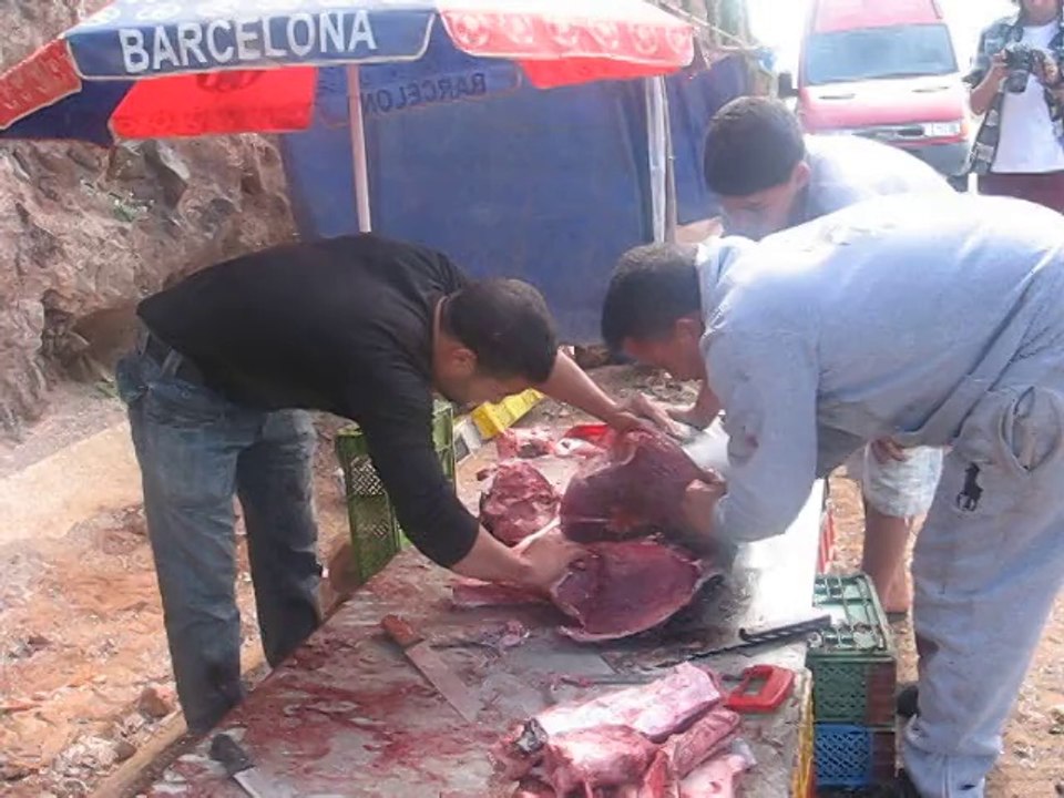 Découpe d'un thon au Maroc