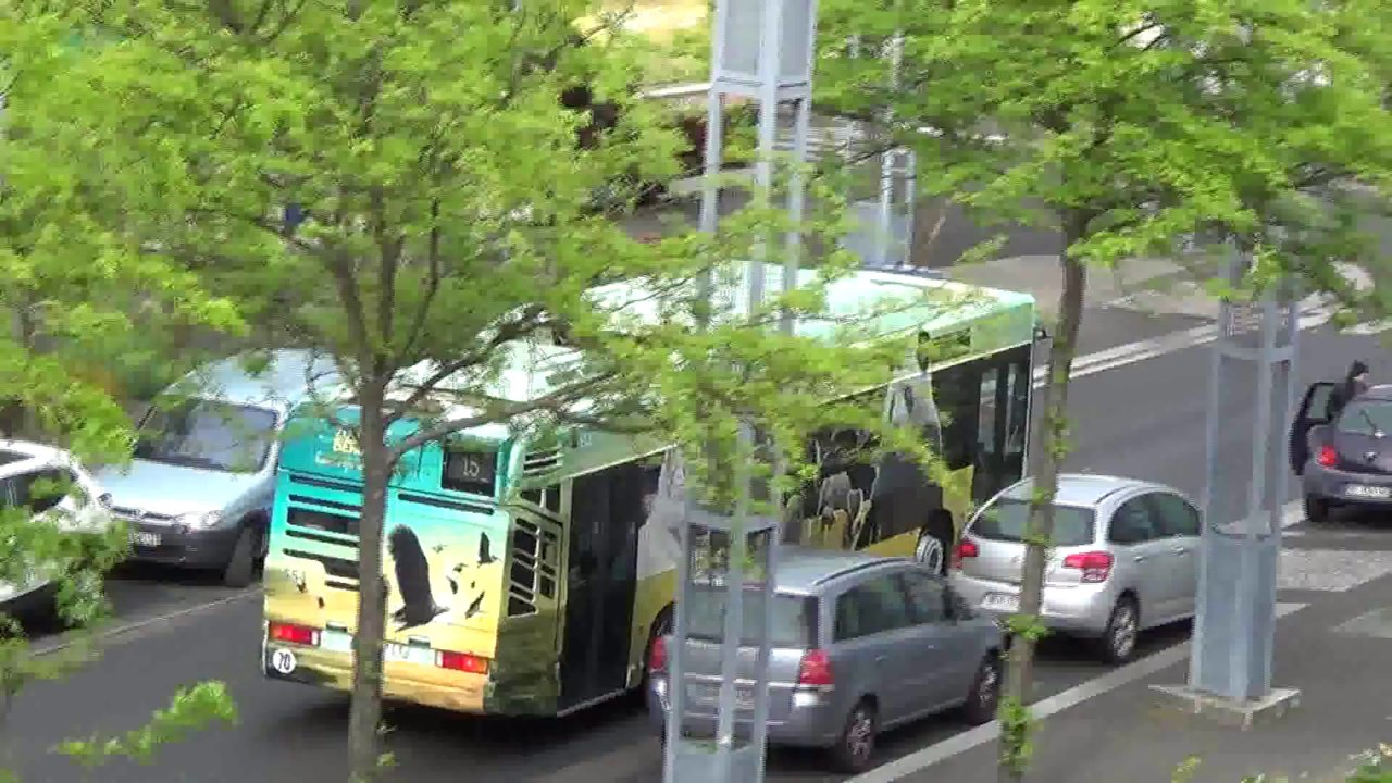 Heuliez GX317GPL N°554 avec pub Zoo Parc Beauval - Fil Bleu
