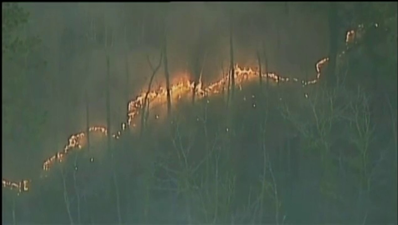 Etats-Unis : des centaines de foyers évacués en raison de feux de forêt