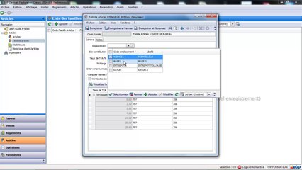 EBP Devis facturation Open Line : Les familles articles