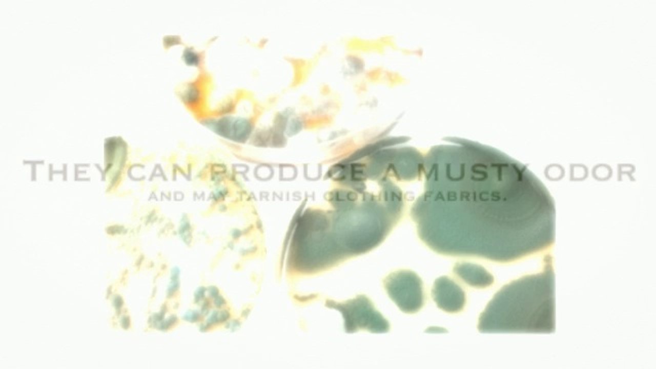 Water Heating Systems in Gresham City (Ventilation System).