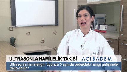 Ultrasonla hamileliğin üçüncü 3 ayında bebekteki hangi gelişmeler takip edilir?