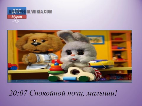 Программа передач + уход на профилактику (ДТС-Муром, 26.01.08)