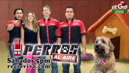 FRAGMENTOS DEL MIEDO 24 DE ABRIL DEL 2014