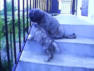 Jaudy et Chanel à 19h ce soir