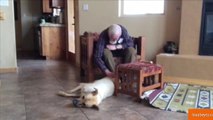 Video of Man with Alzheimer's Talking to Dog is a Tear-jerker