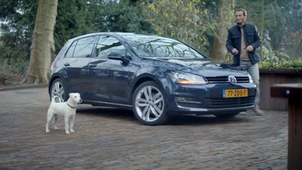 Kendini Araba Sanan Köpek
