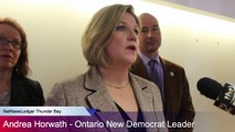 NDP Leader on Ontario Budget April 26 2014