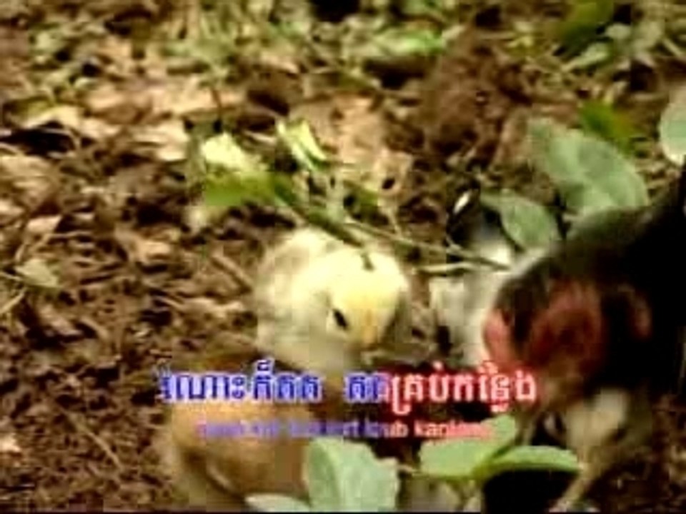 Khmer karaoke children