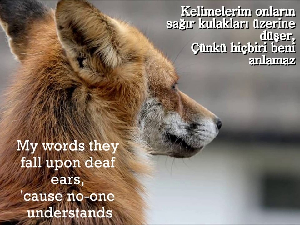 Omnia - I don't Speak Human + lyrics [Turkish + Eng] [HD]