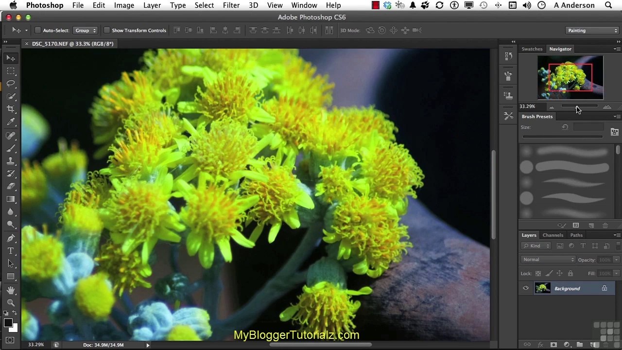adobe ph 1