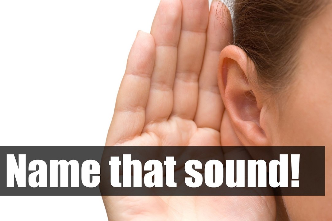 Can You Name That Sound?