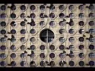 Noisy-le-Grand (93) : visite de la cité "Le Pavé Neuf"