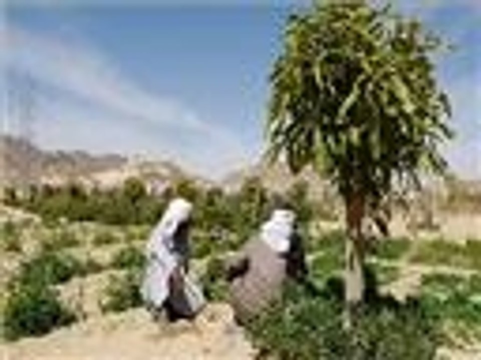 سيناء في الذكرى الـ32