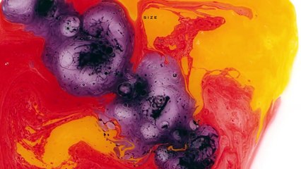 Ivan Gough & Jebu - Noxu (Original Mix)