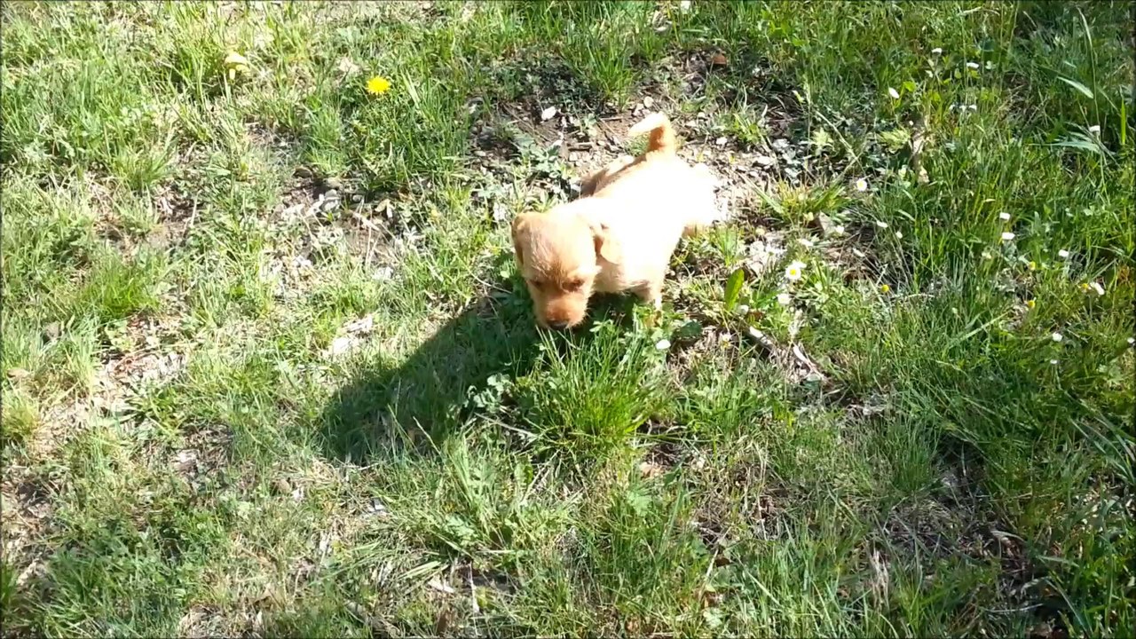 JAJA  premiere sortie