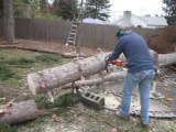 Guy cuts up tree, then this happens..