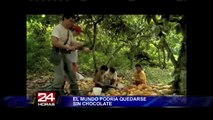 ¿Un mundo sin chocolate? Afirman que demanda sería insostenible en 2020