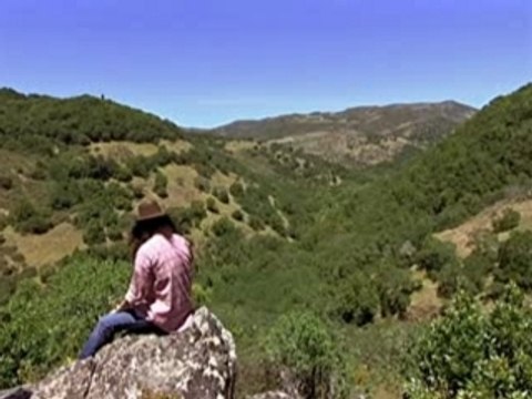 Lars Ulrich VS Dave Mustaine