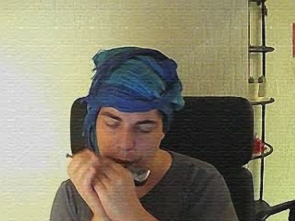 Harmonica - A Man And A Woman