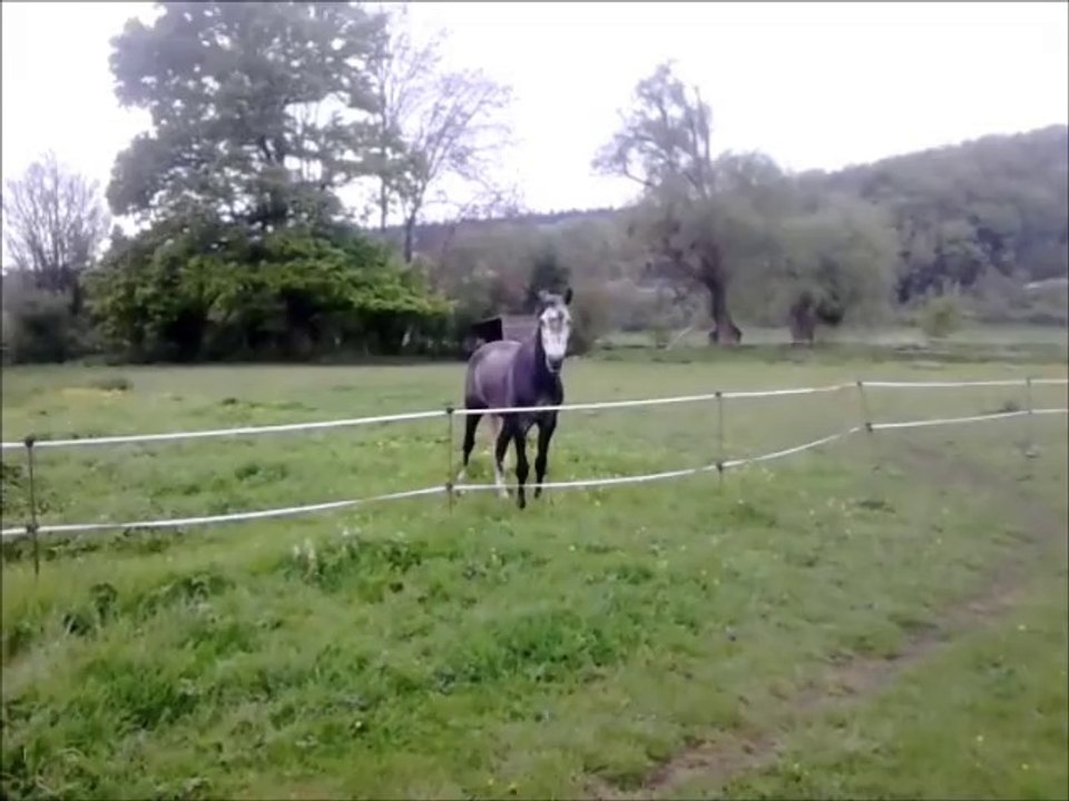 Etre con c'est un don, Faire le con, c'est un art".