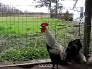 ‫عجائب وغرائب الدنيا _ Facebook‬