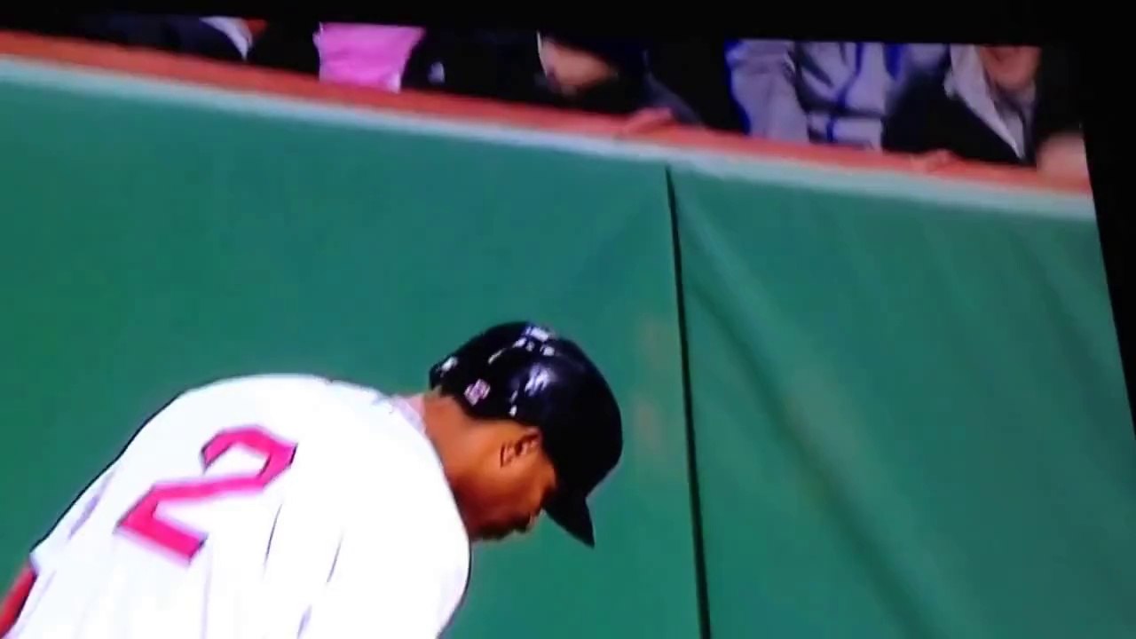 Classy Baseball fan snag ball tossed to kid