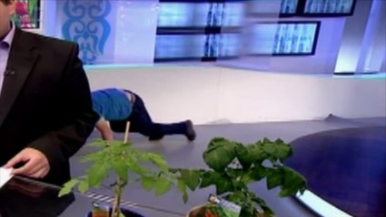 Video herunterladen: Gros fail en direct sur une émission de TV : intrus sur le plateau