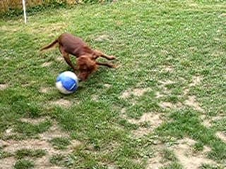 aby qui joue au foot