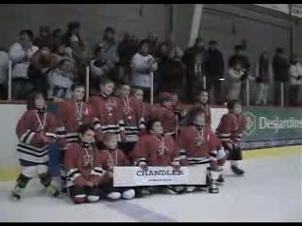 Finaliste-Chandler novice