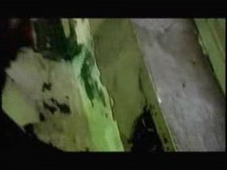 ALLELE-Closer to Habit